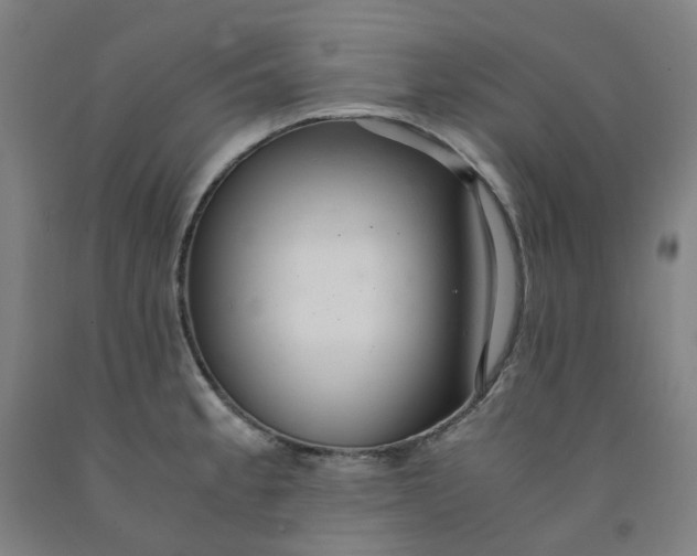 X0000091981189200709271421