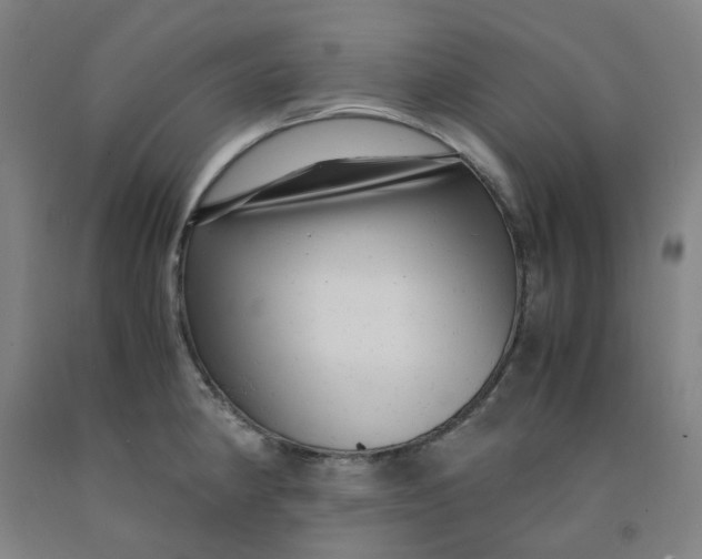 X0000091981190200709271421