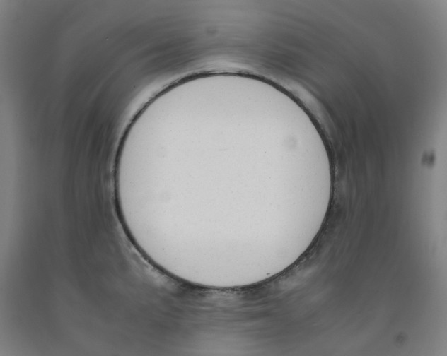 X0000091981191200709271421