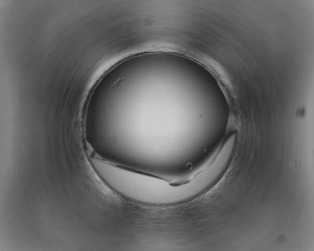 X0000091981192200709271421