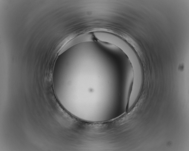 X0000091981193200709271421