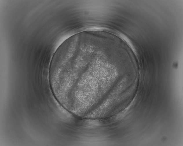 X0000091981194200709271421