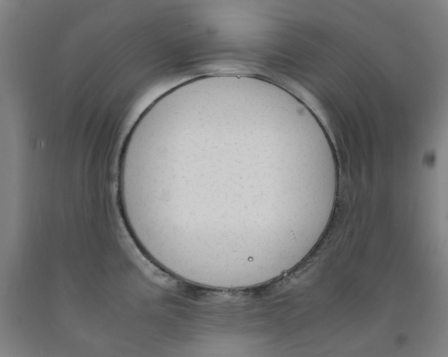 X0000091981195200709271421