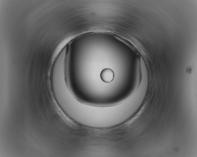 X0000091981196200709271421