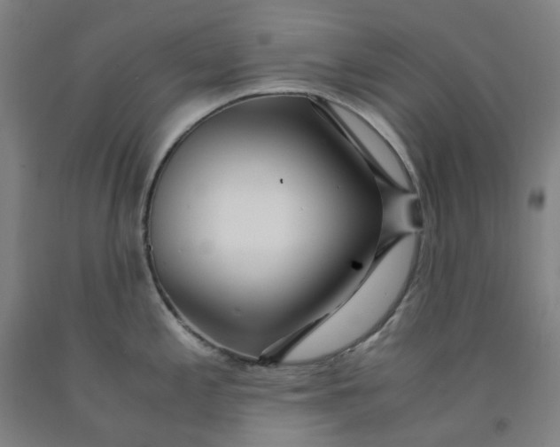 X0000091981197200709271421