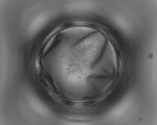 X0000091981198200709271421