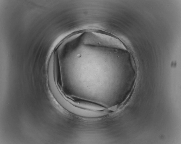 X0000091981200200709271421