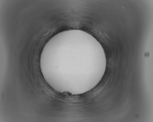 X0000091981201200709271420