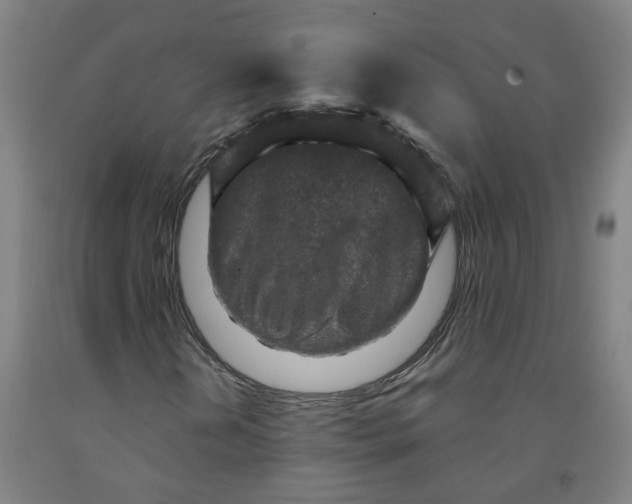 X0000091981202200709271420