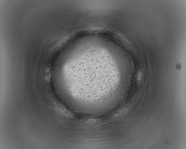 X0000091981204200709271420