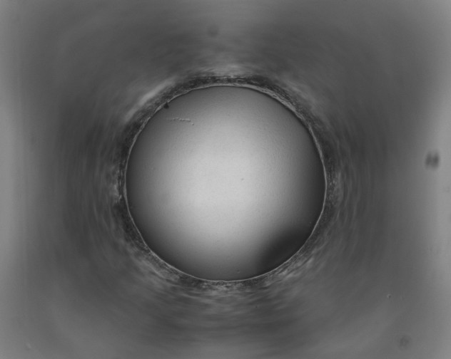 X0000091981205200709271420