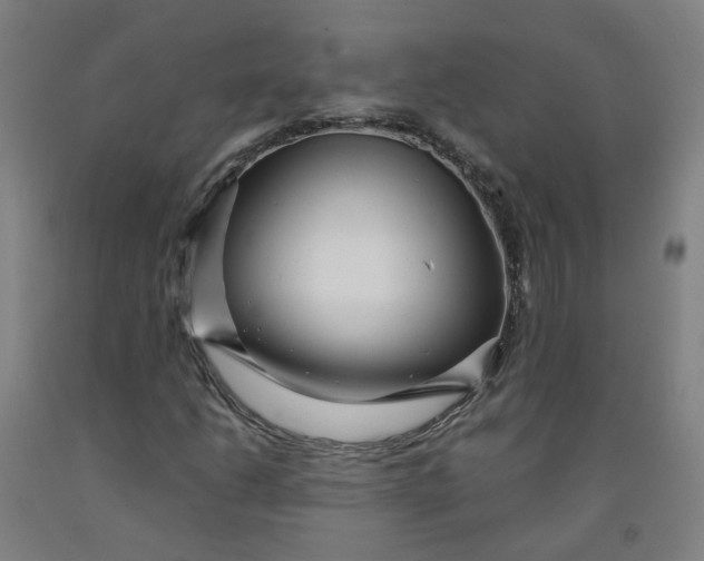 X0000091981206200709271420