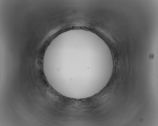 X0000091981207200709271420