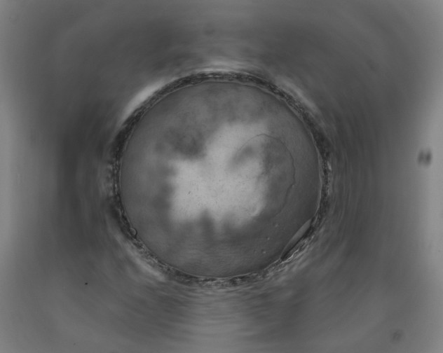 X0000091981208200709271420