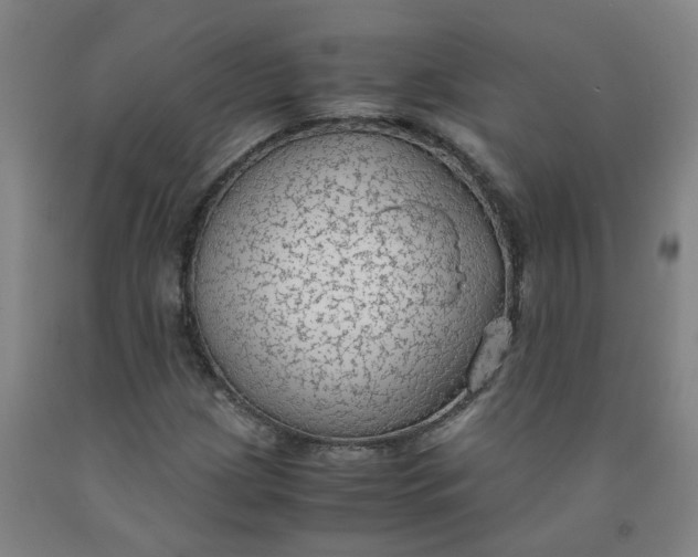 X0000091981209200709271420