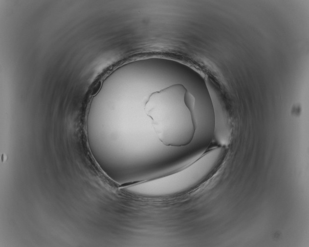 X0000091981210200709271420