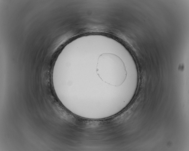 X0000091981211200709271420