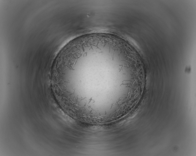 X0000091981212200709271420