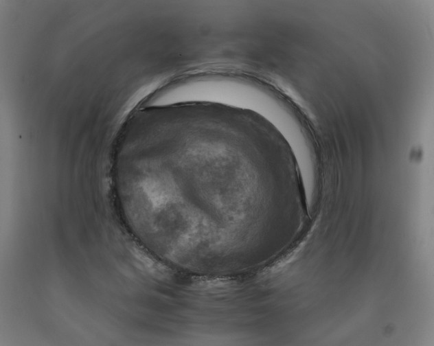 X0000091981213200709271420