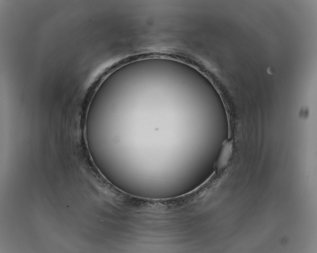 X0000091981214200709271420