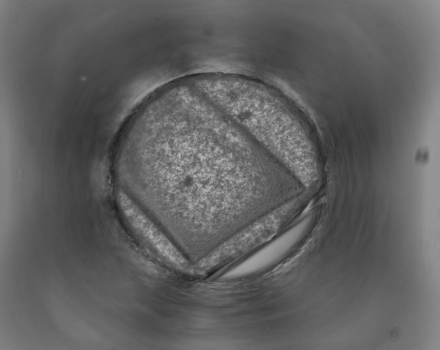 X0000091981215200709271420