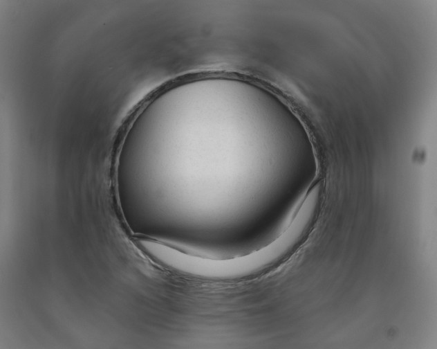 X0000091981216200709271420