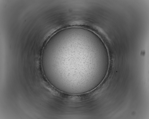 X0000091981217200709271420