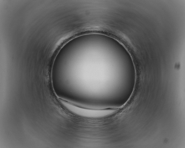 X0000091981218200709271420