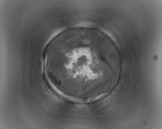 X0000091981219200709271420