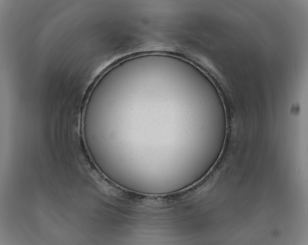 X0000091981220200709271420