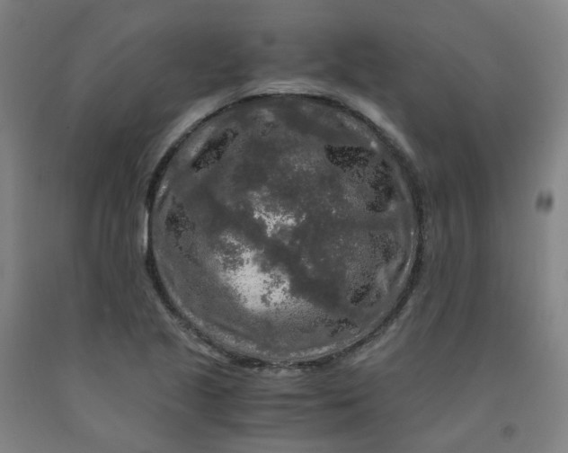 X0000091981221200709271420