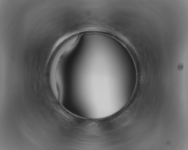 X0000091981222200709271420