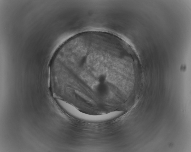 X0000091981223200709271420