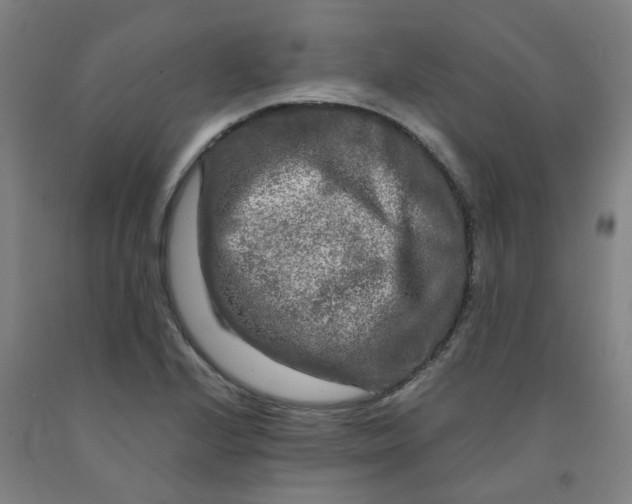 X0000091981224200709271420