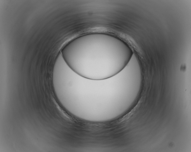 X0000091981225200709271420