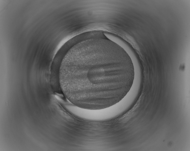 X0000091981226200709271420