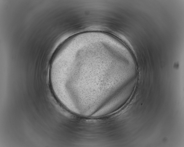 X0000091981227200709271420