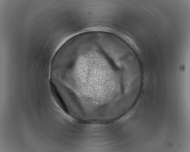 X0000091981228200709271420