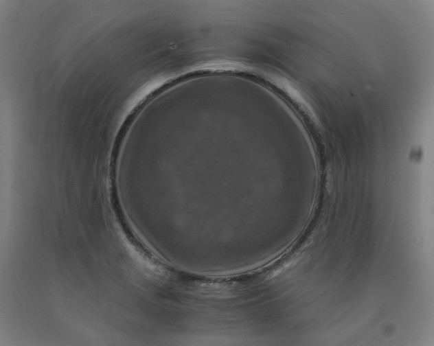 X0000091981229200709271420