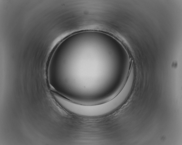 X0000091981230200709271420