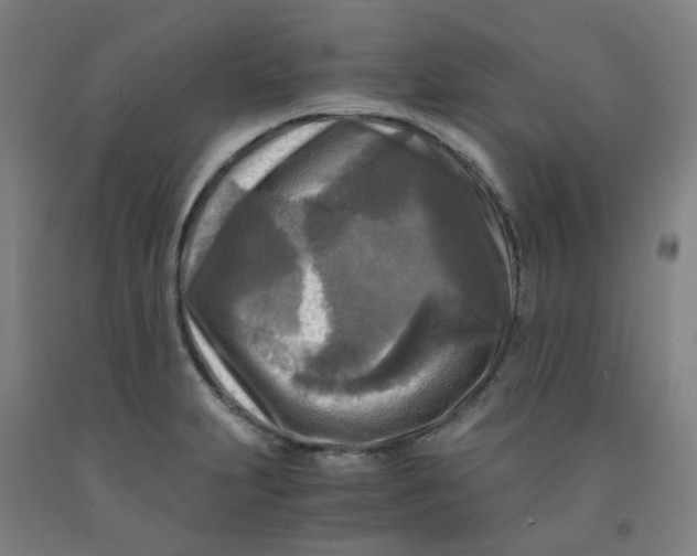 X0000091981231200709271420