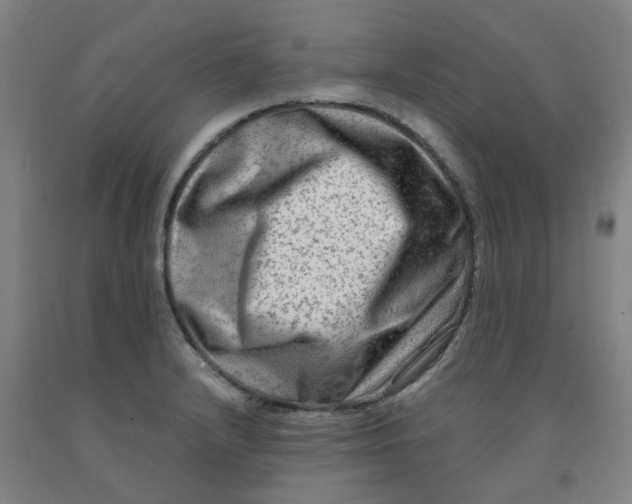 X0000091981232200709271420