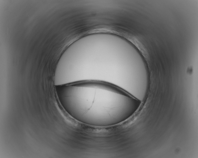 X0000091981233200709271420