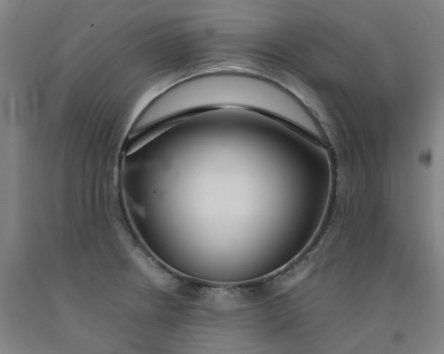 X0000091981234200709271421