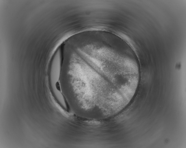 X0000091981235200709271421