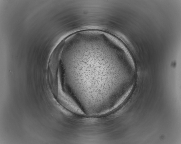 X0000091981236200709271421