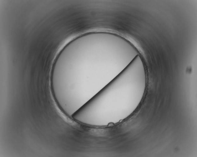 X0000091981237200709271421