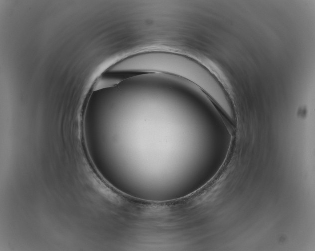 X0000091981238200709271421