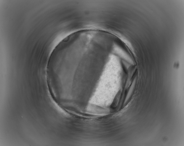 X0000091981239200709271421