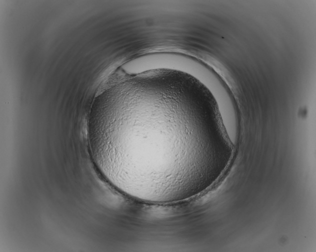 X0000091981241200709271421